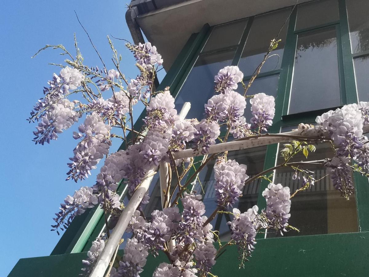 Apartament Casadei24 Guidonia Zewnętrze zdjęcie